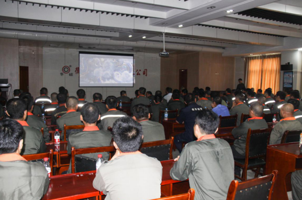 1596269983201316.png image.png